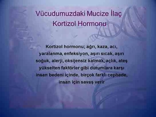 Kortizon Hormon Yüksekliği Belirtileri ve Tedavisi